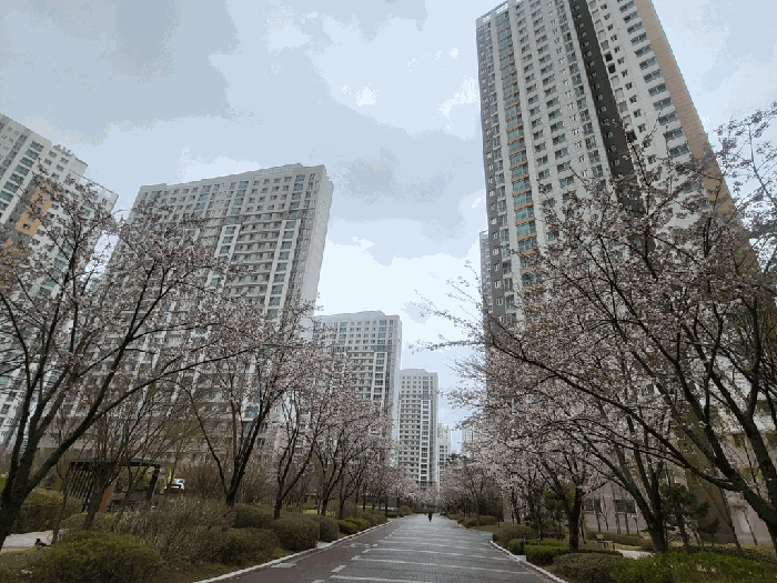 물건 사진 11