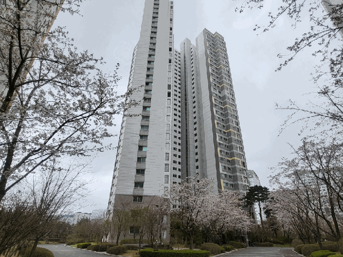 물건 사진 5