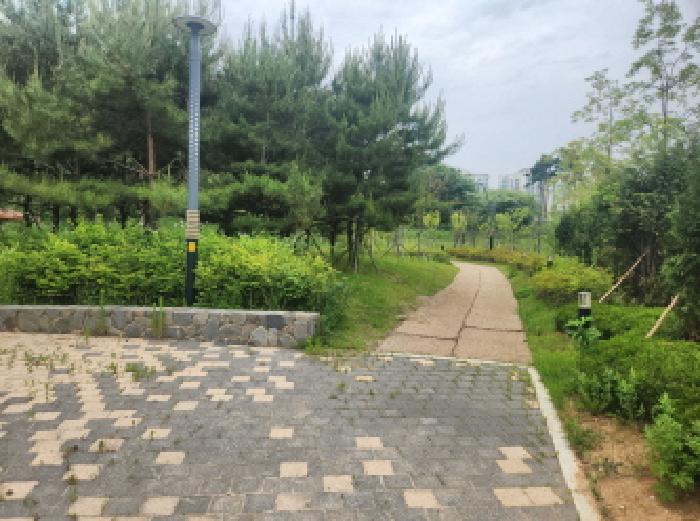 물건 사진 3