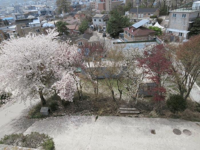 물건 사진 27