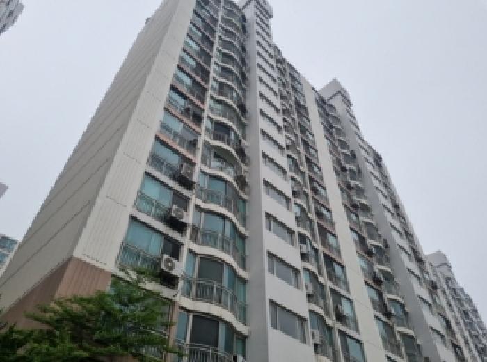 물건 사진 1