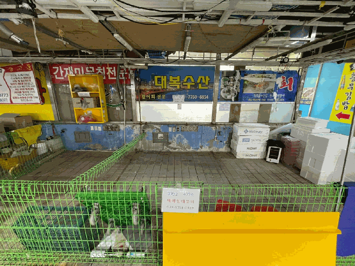 물건 사진 12