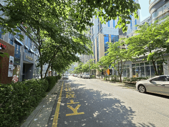 물건 사진 12