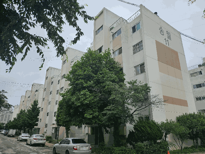 물건 사진 11