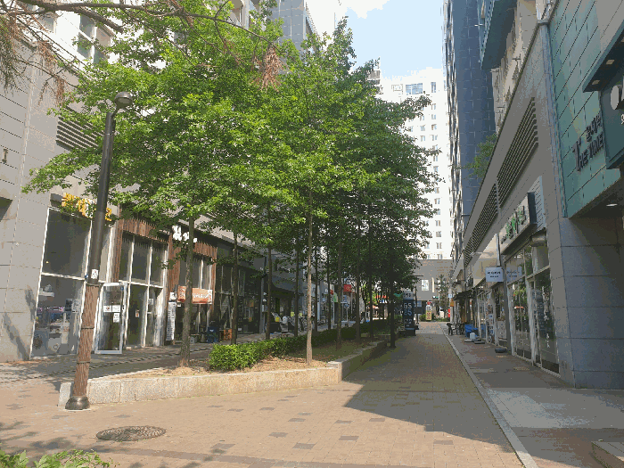 물건 사진 11