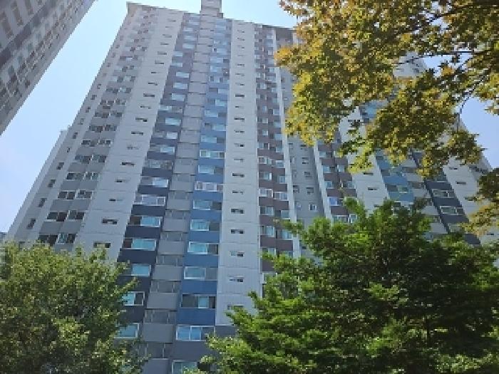물건 사진 1