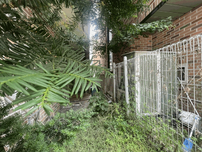 물건 사진 29