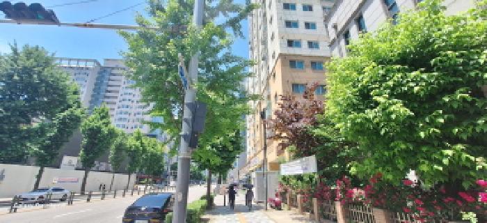 물건 사진 2