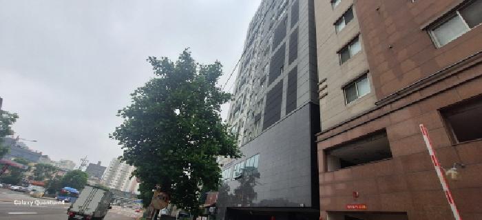 물건 사진 1