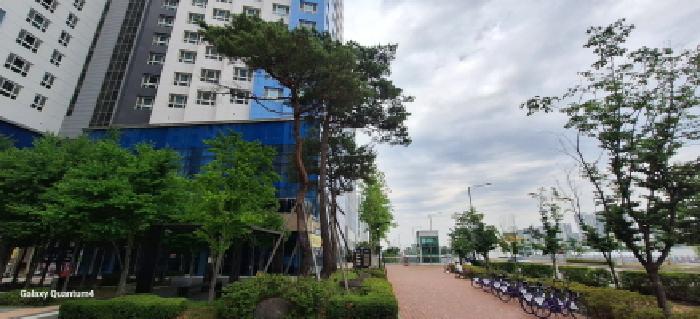 물건 사진 7