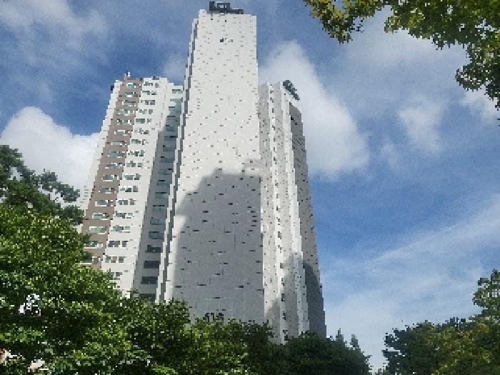 물건 사진 13
