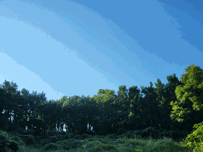 물건 사진 19