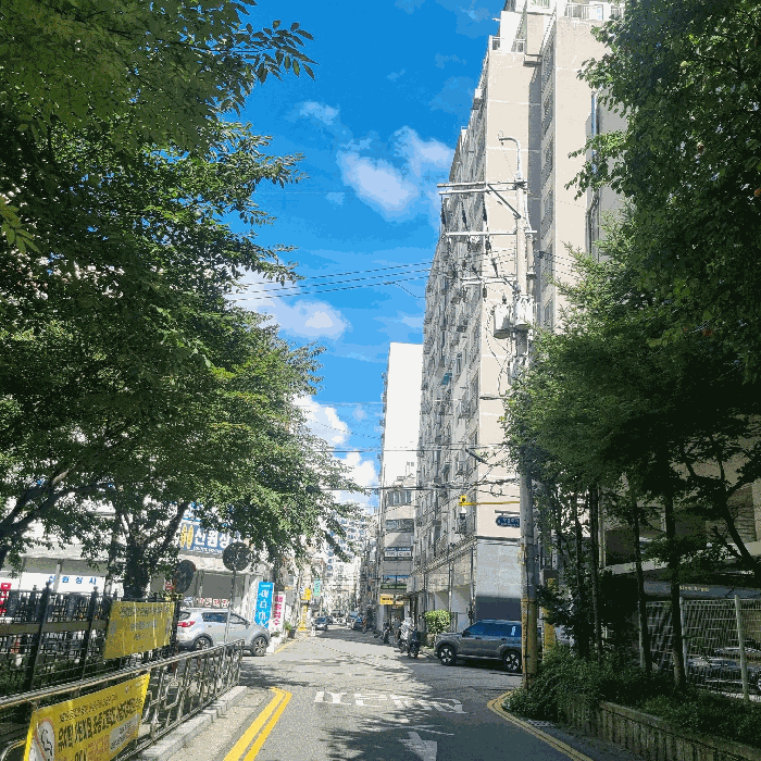 물건 사진 11