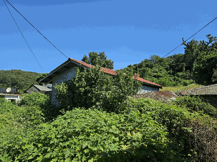 물건 사진 14