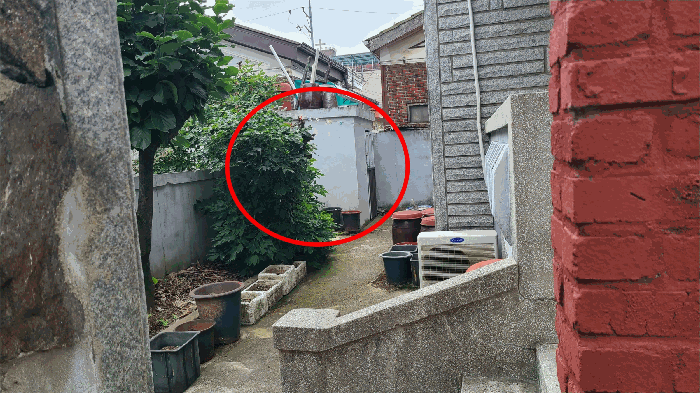 물건 사진 11
