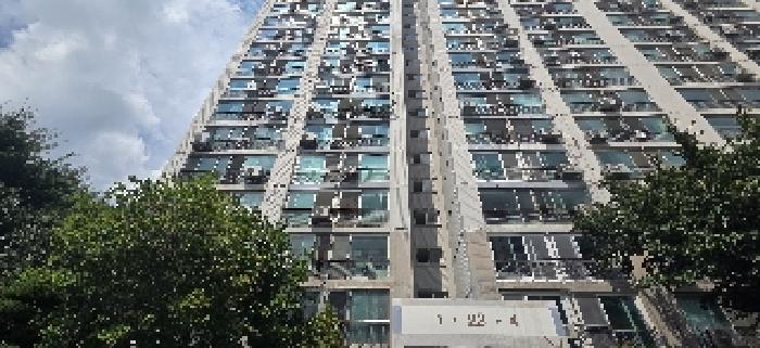 물건 사진 3