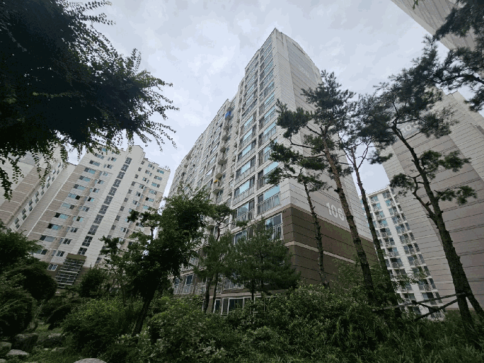 물건 사진 11