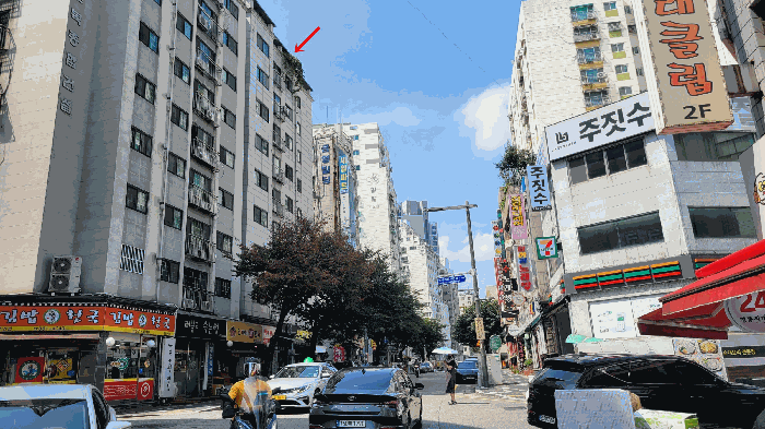물건 사진 7