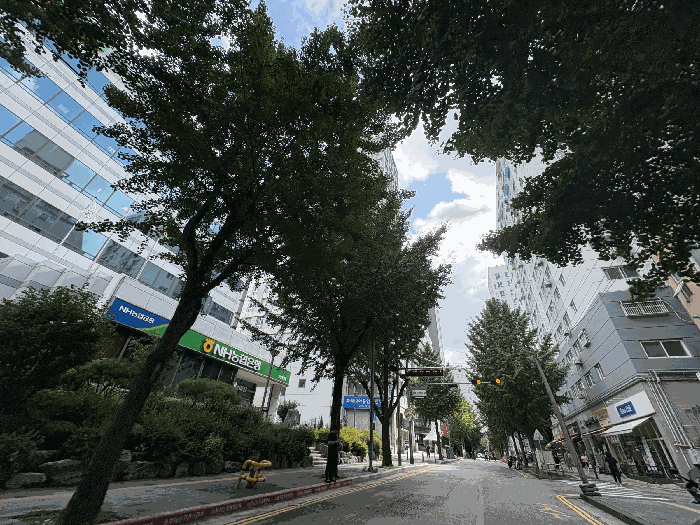 물건 사진 7