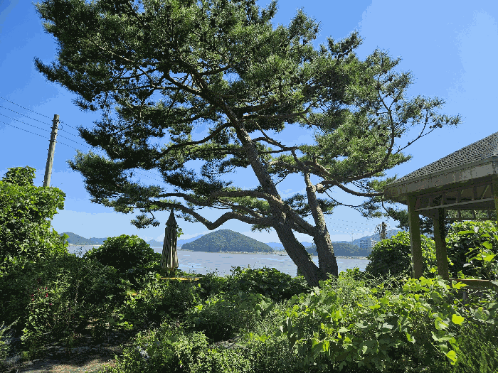 물건 사진 19