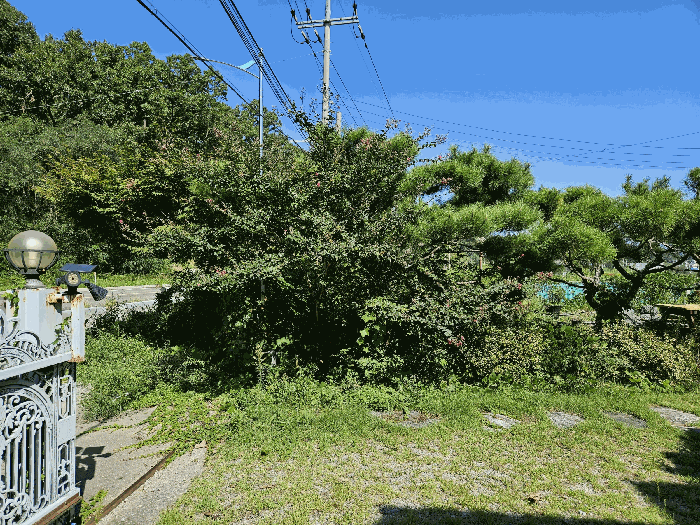물건 사진 20