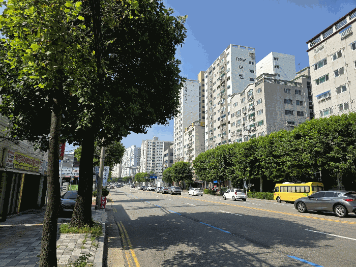 물건 사진 11