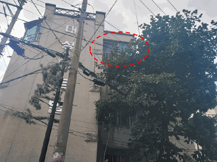 물건 사진 13