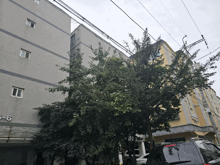 물건 사진 10