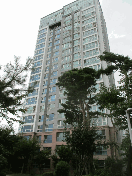물건 사진 7