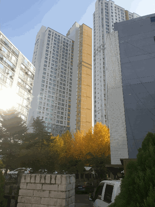 물건 사진 15
