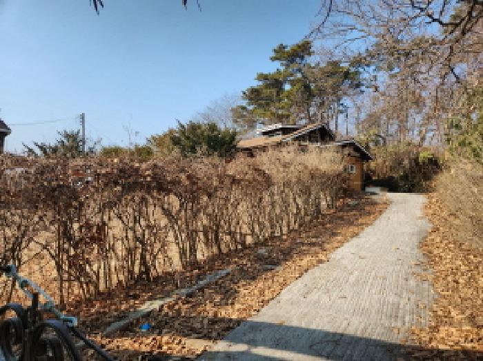물건 사진 4