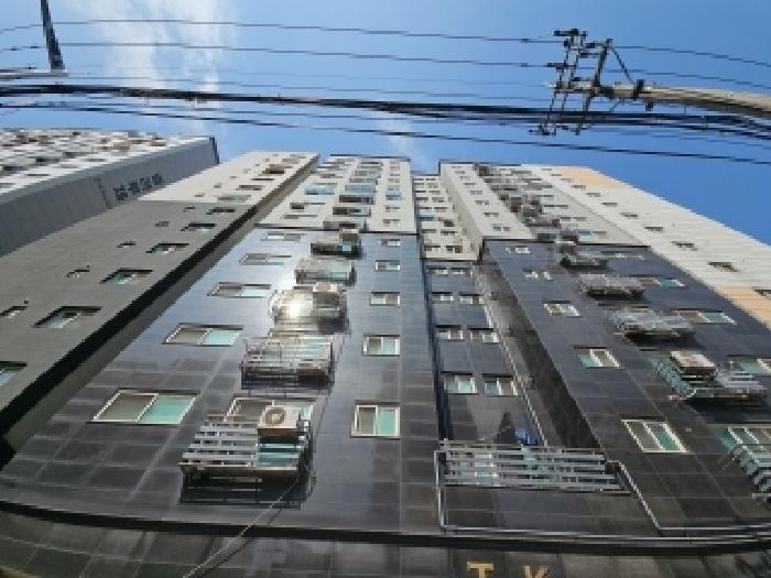 물건 사진 1