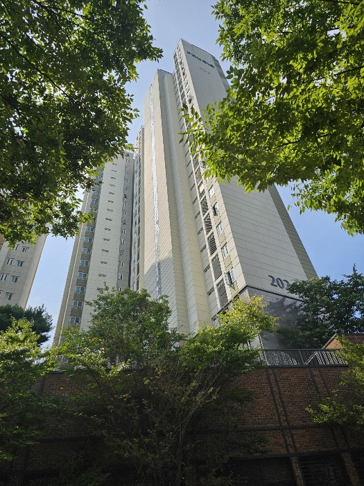 물건 사진 11
