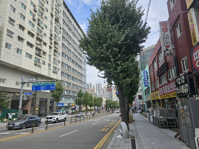 물건 사진 11