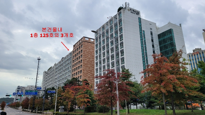 물건 사진 24