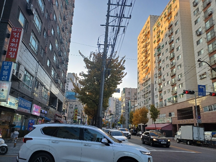물건 사진 11