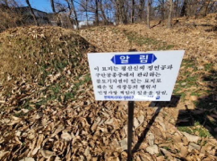 물건 사진 51
