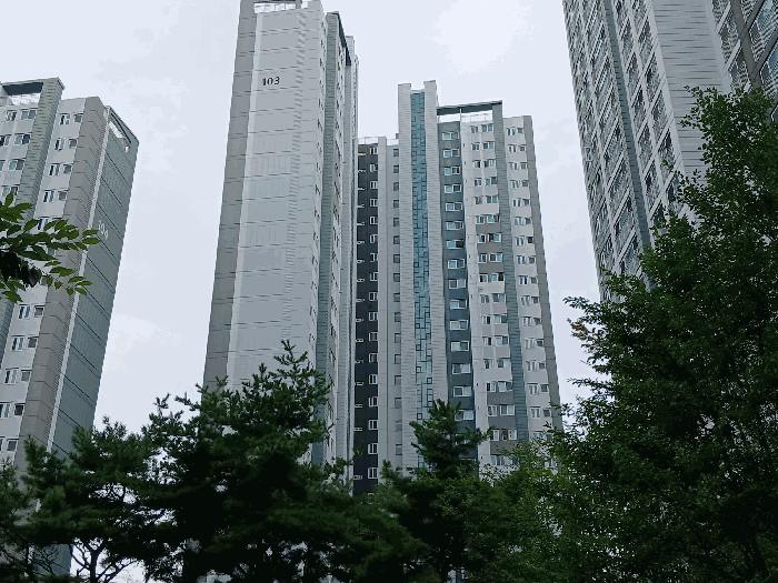 물건 사진 12