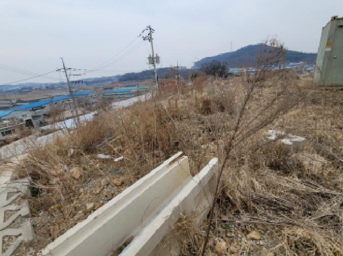 물건 사진 7