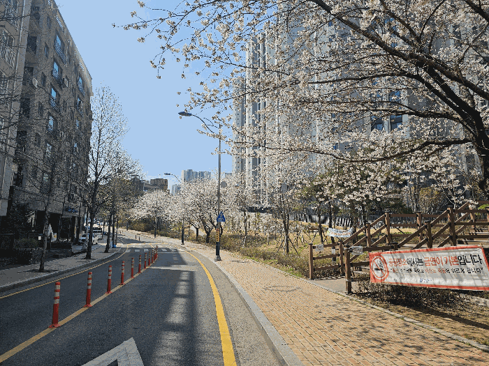 물건 사진 9