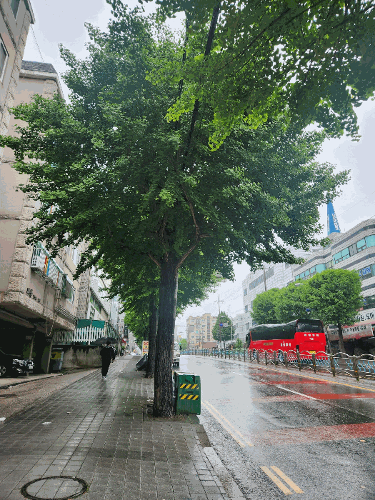 물건 사진 8