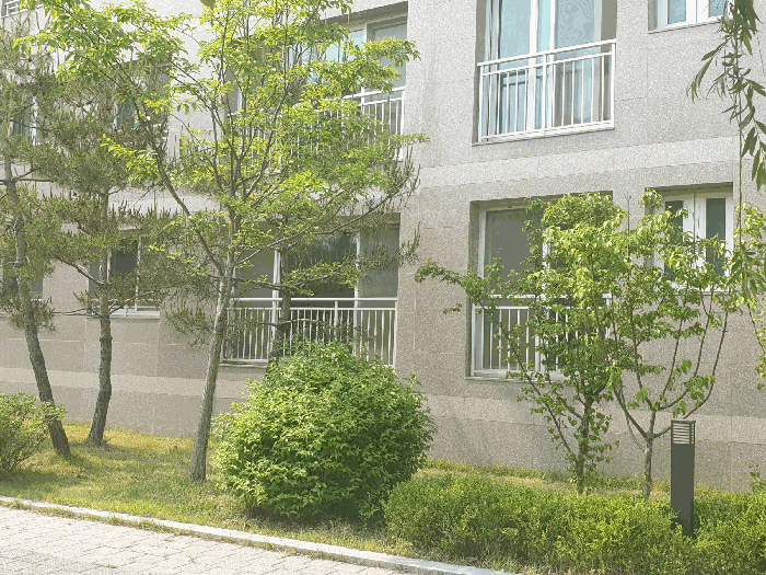 물건 사진 12