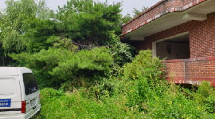 물건 사진 3