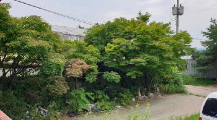 물건 사진 10