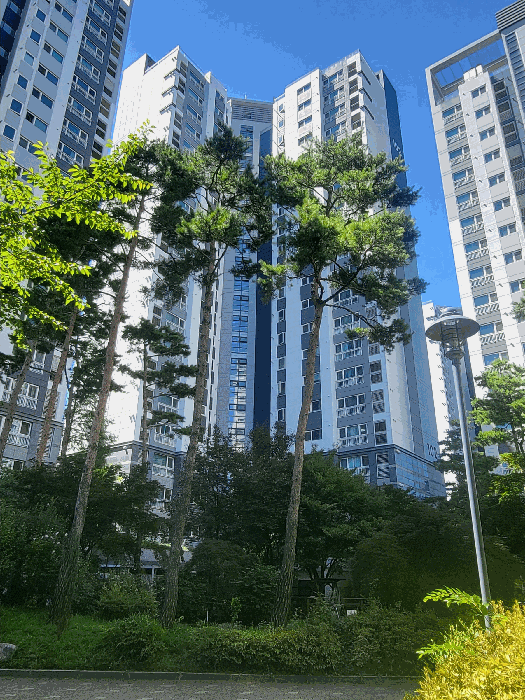 물건 사진 10