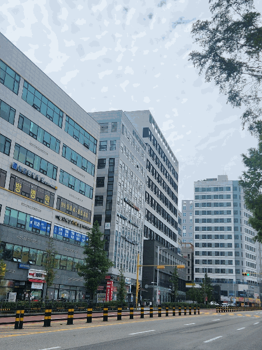 물건 사진 10
