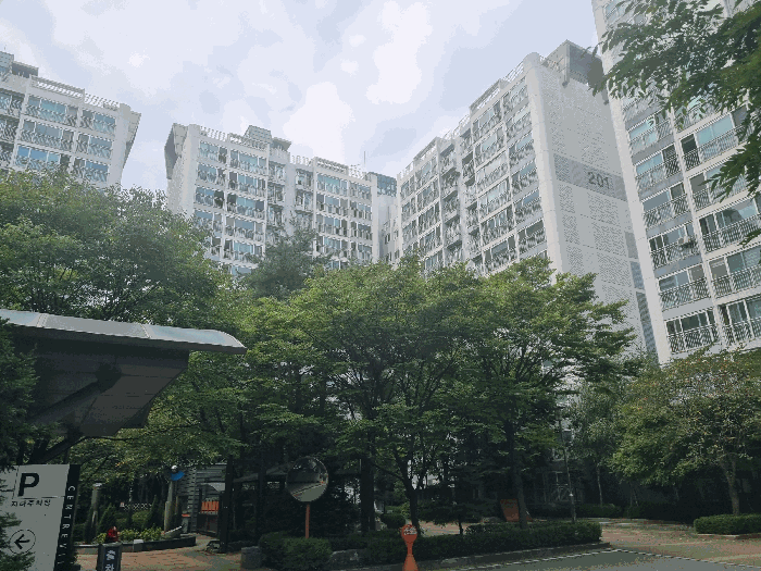 물건 사진 7