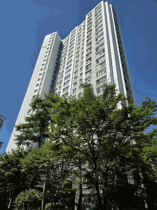 물건 사진 7