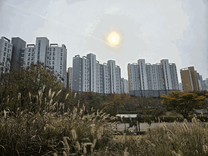 물건 사진 8