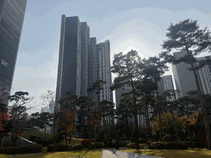 물건 사진 10